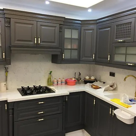 Villa şahin Konağı *